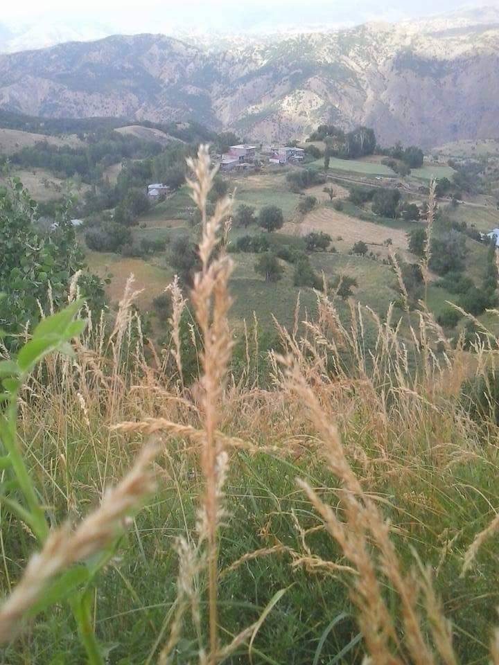 Mutki Aydemir Köyü Resimleri 4