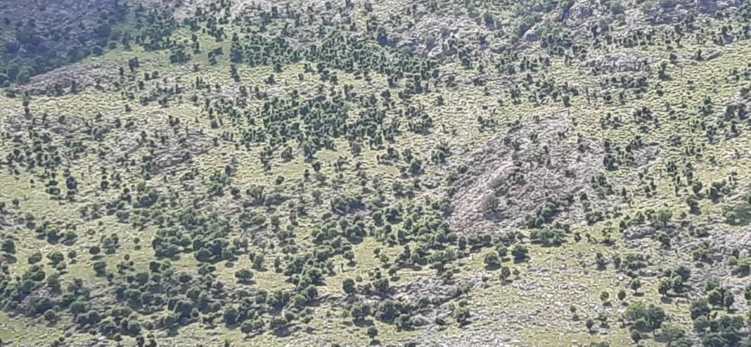 Mutki Bağarası Köyü Resimleri 3