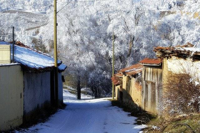 Bozüyük Alibeydüzü Köyü Resimleri 1