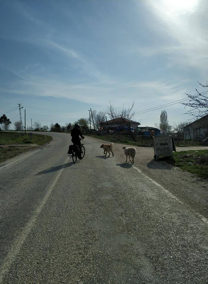Bozüyük Alibeydüzü Köyü Resimleri 7