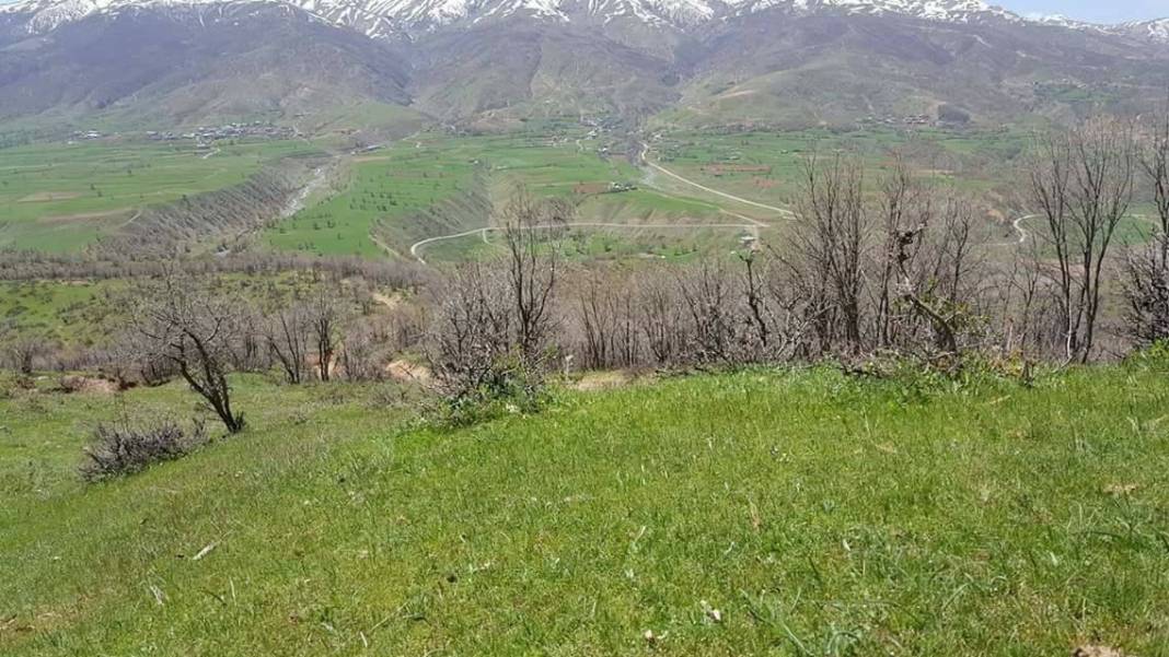 Mutki Ekizler Köyü Resimleri 4