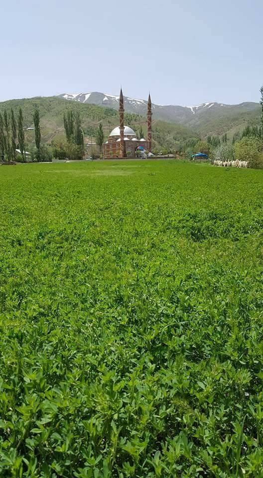 Mutki Ekizler Köyü Resimleri 5