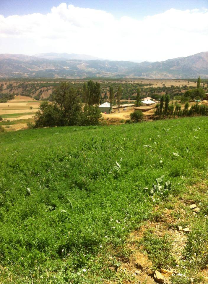 Mutki Erler Köyü Resimleri 1