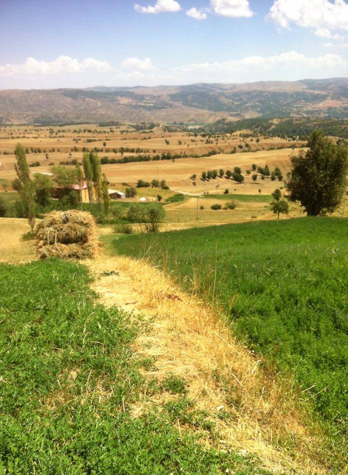 Mutki Erler Köyü Resimleri 3