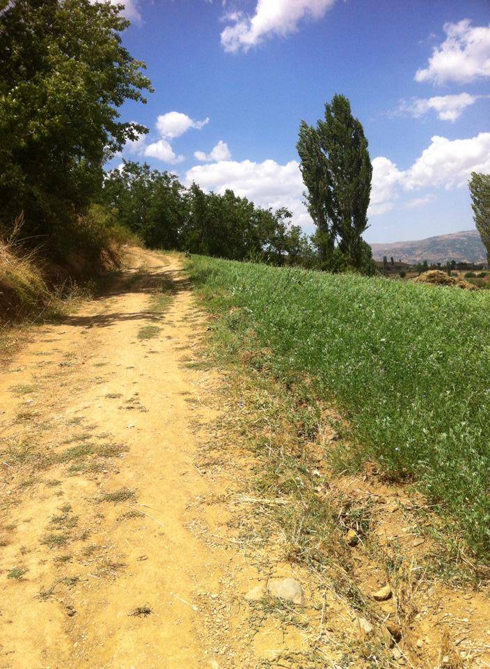 Mutki Erler Köyü Resimleri 6