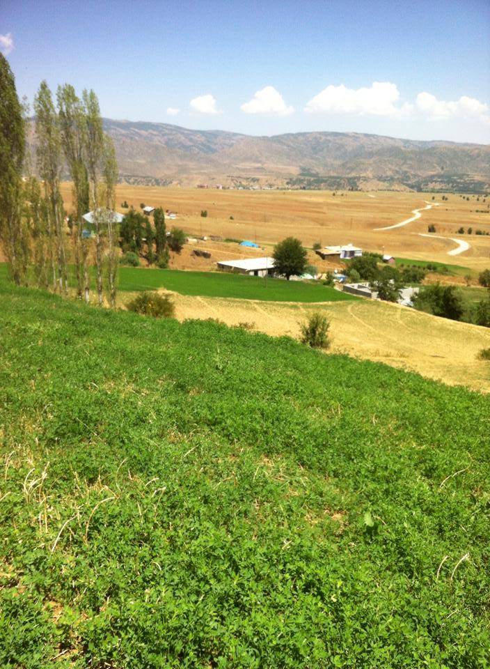 Mutki Erler Köyü Resimleri 7