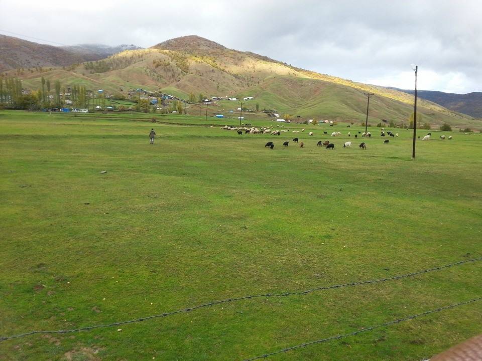 Mutki İkizler Köyü Resimleri 2