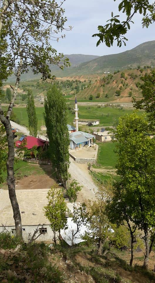 Mutki İkizler Köyü Resimleri 8