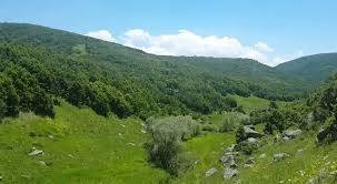 Mutki Kapaklı Köyü Resimleri 3