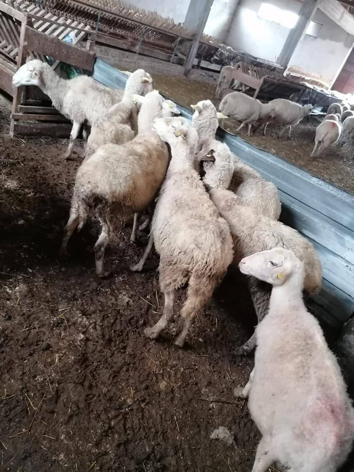 Bozüyük Cihangazi Köyü Resimleri 7