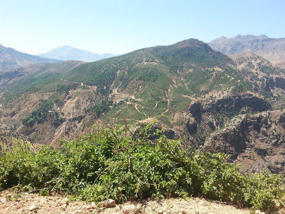 Mutki Kovanlı Köyü Resimleri 1