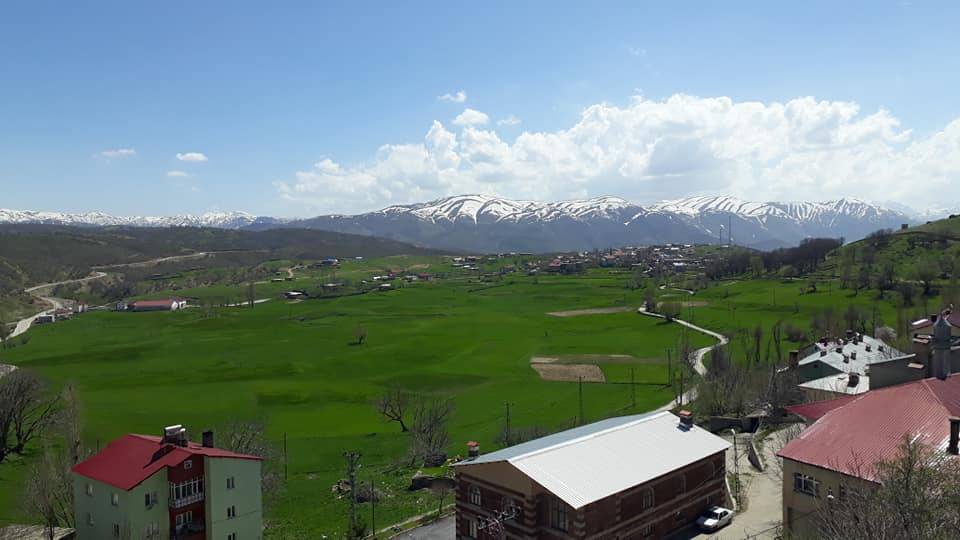 Mutki Koyunlu Köyü Resimleri 6