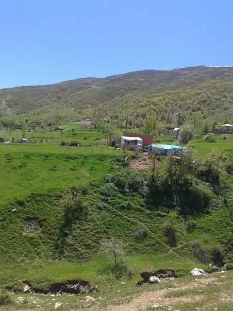 Mutki Kuşdili Köyü Resimleri 4