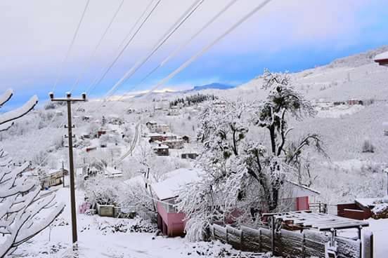 Kocaali Kestanepınarı Köyü Resimleri 1