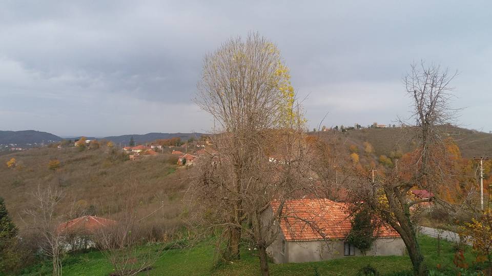 Kocaali Kestanepınarı Köyü Resimleri 4