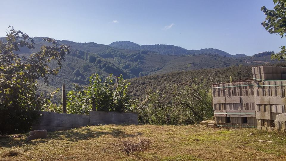 Kocaali Kestanepınarı Köyü Resimleri 7