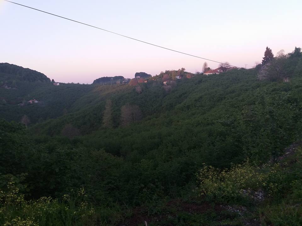 Kocaali Kestanepınarı Köyü Resimleri 8