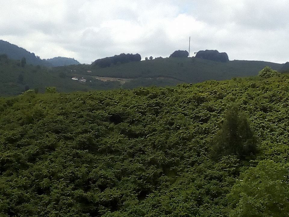 Kocaali Kestanepınarı Köyü Resimleri 9