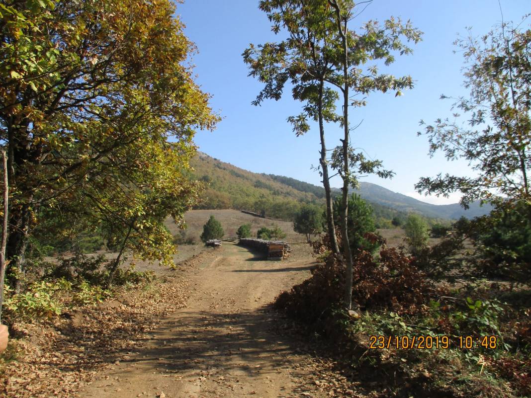 Bozüyük Delielmacık Köyü Resimleri 10