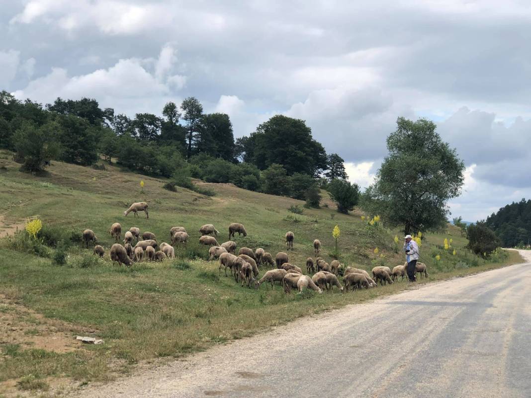 Bozüyük Delielmacık Köyü Resimleri 5