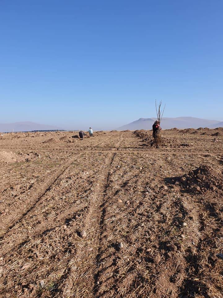 Kulu Doğutepe Köyü Resimleri 2