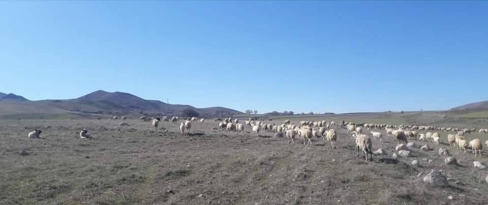 Kulu Karacadere Köyü Resimleri 3