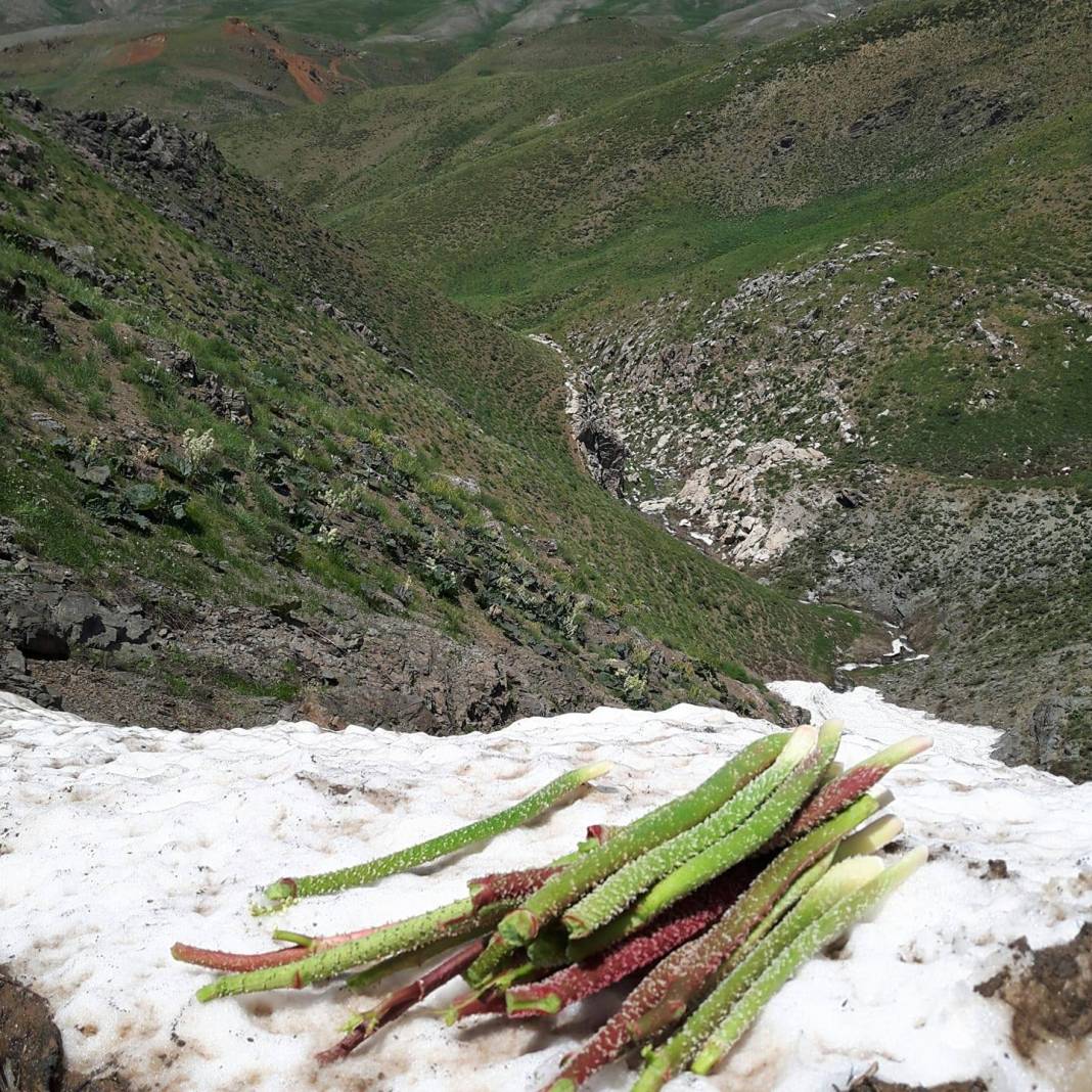 Mutki Salman Köyü Resimleri 15