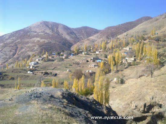 Mutki Salman Köyü Resimleri 7