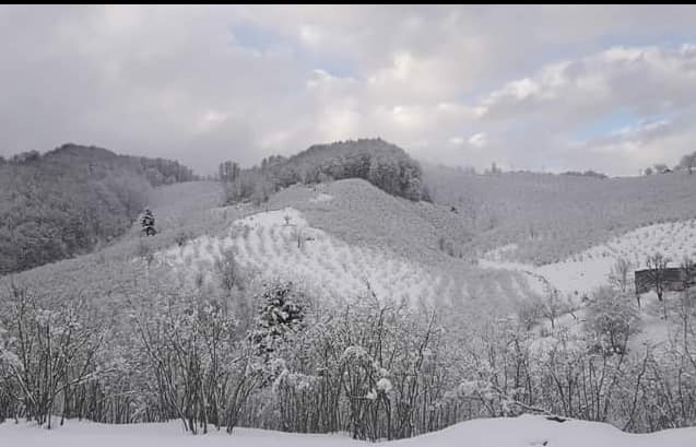 Kocaali Kızılüzüm Köyü Resimleri 1