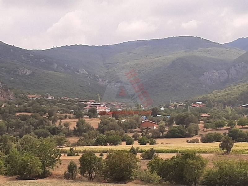 Mecitözü Koyunağılı  Köyü Resimleri 2