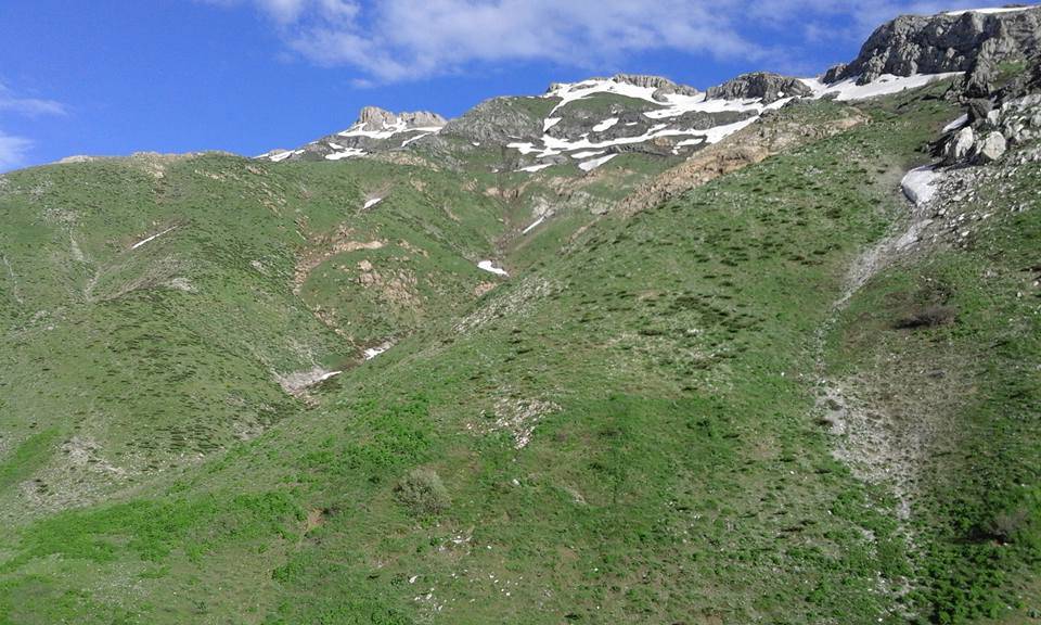 Mutki Tolgalı Köyü Resimleri 3