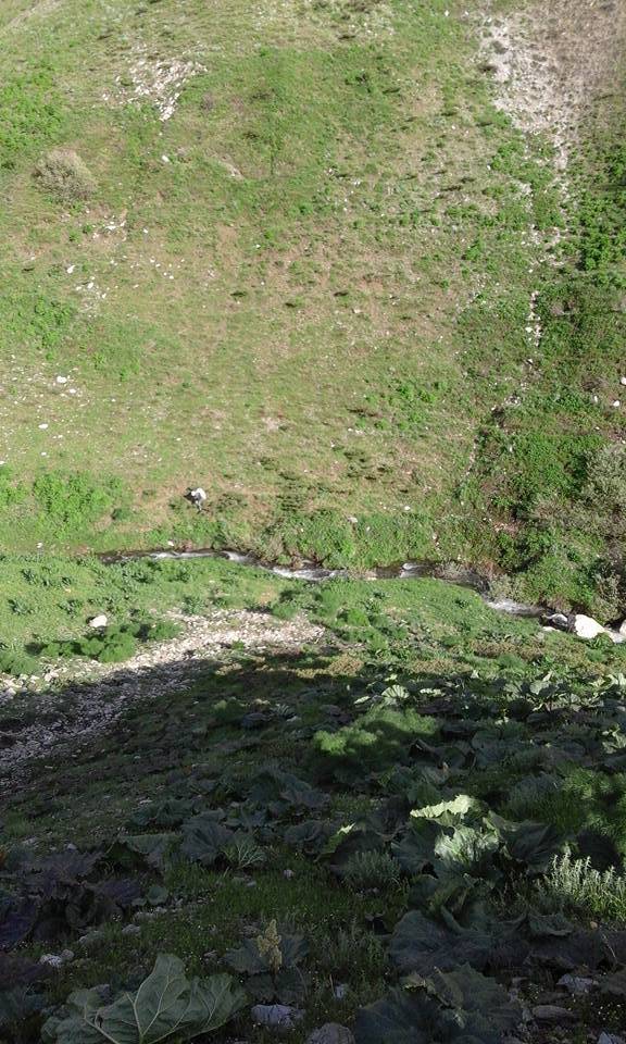 Mutki Tolgalı Köyü Resimleri 6