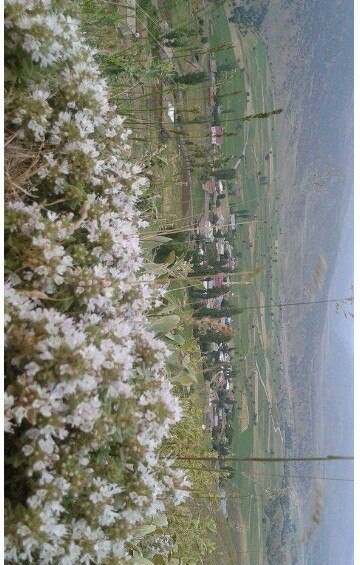 Mutki Uran Köyü Resimleri 2