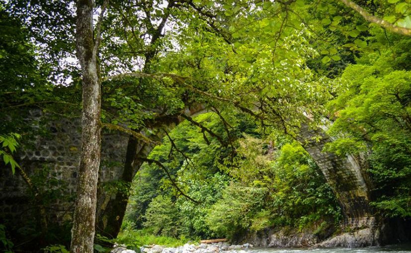 Çamlıhemşin Aşağışimşirli Köyü Resimleri 10