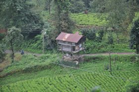 Çamlıhemşin Aşağışimşirli Köyü Resimleri 2