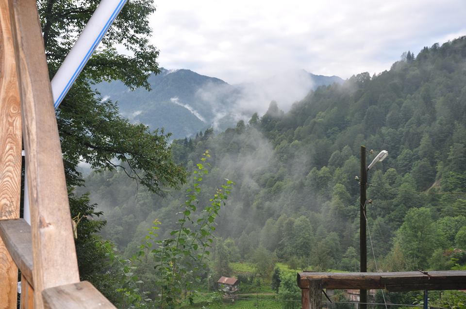 Çamlıhemşin Aşağışimşirli Köyü Resimleri 5