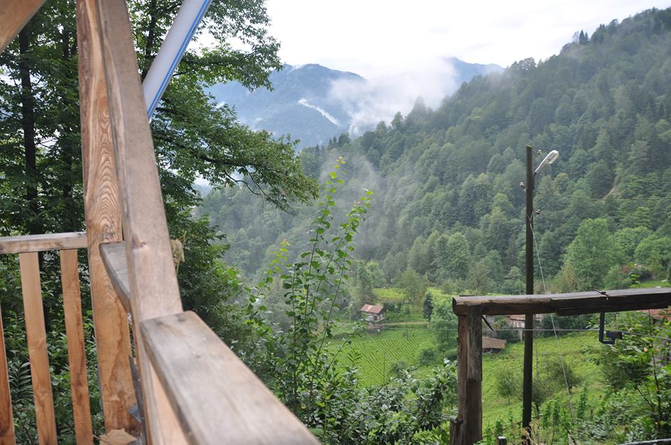 Çamlıhemşin Aşağışimşirli Köyü Resimleri 6