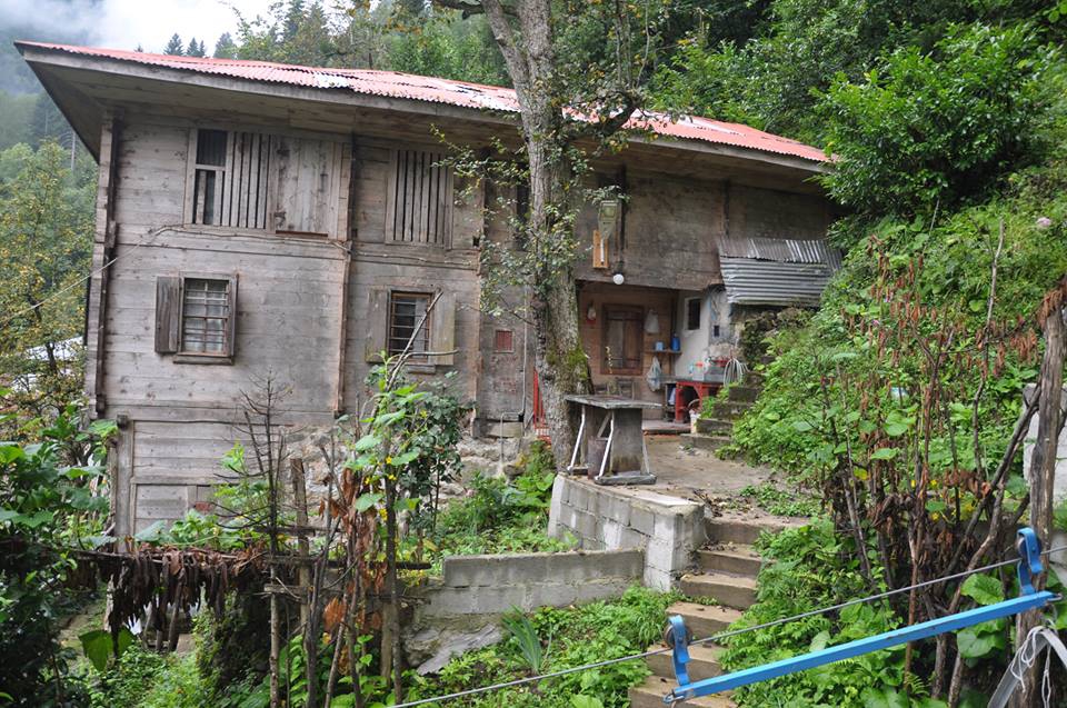 Çamlıhemşin Aşağışimşirli Köyü Resimleri 7