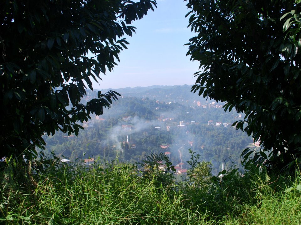 Çamlıhemşin Aşağışimşirli Köyü Resimleri 8