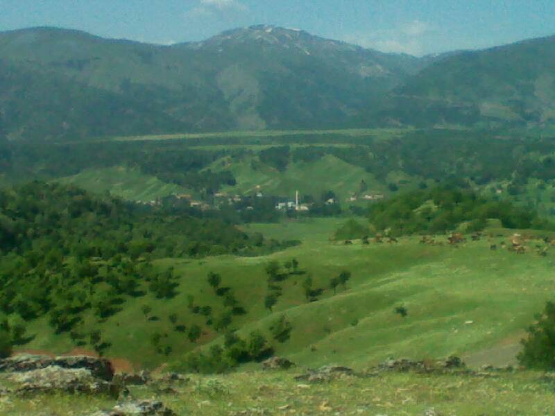 Mutki Yenidoğan Köyü Resimleri 1