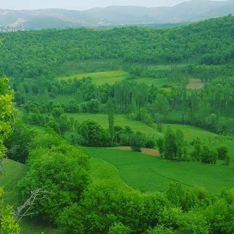 Mutki Yenidoğan Köyü Resimleri 3