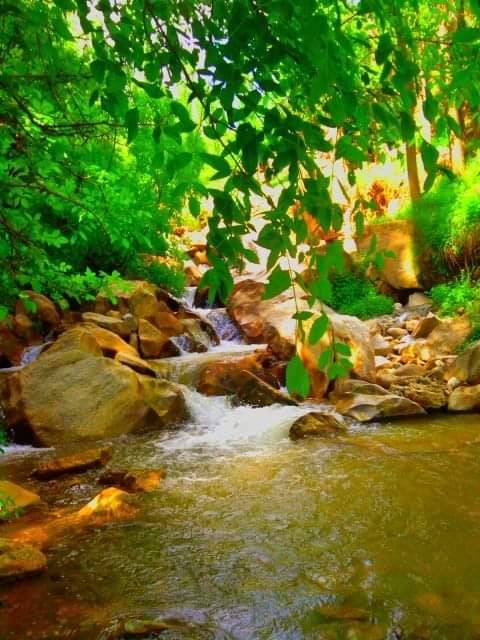 Mutki Yenidoğan Köyü Resimleri 5