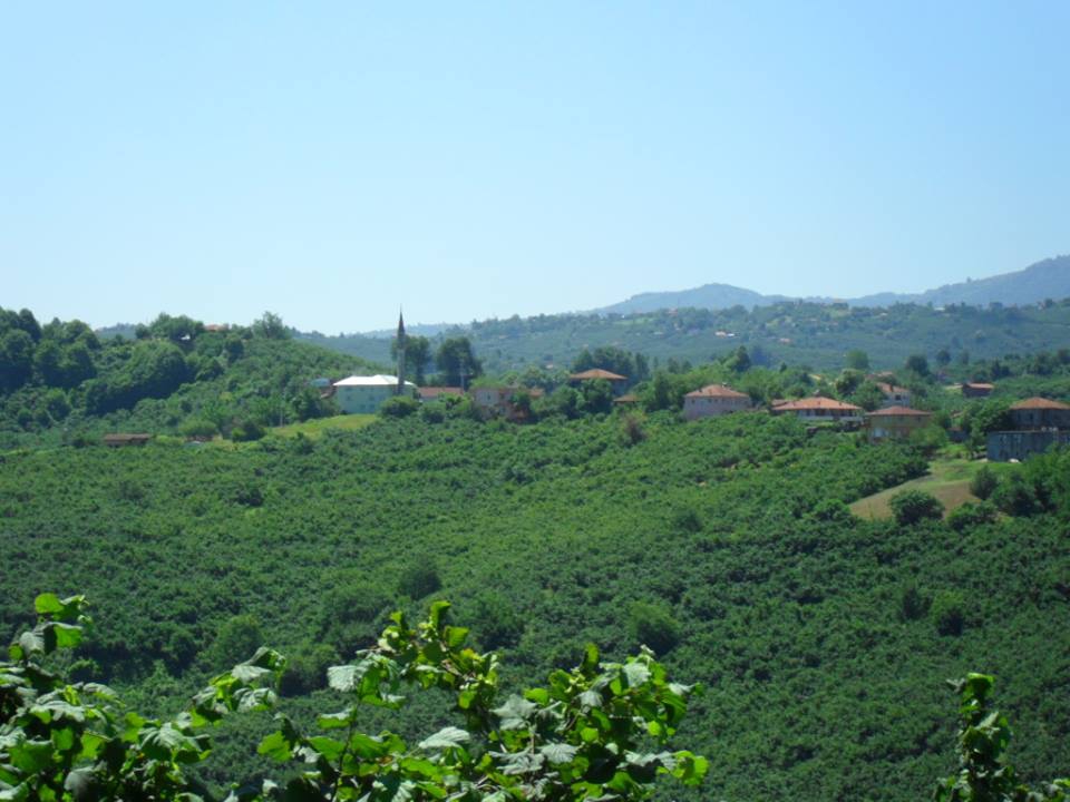 Kocaali Kirazlı Köyü Resimleri 2