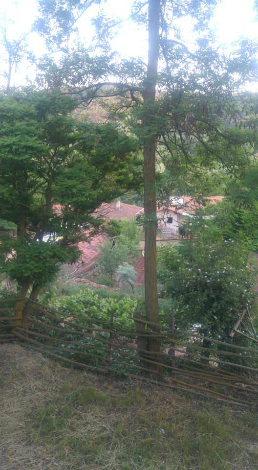 Bozüyük Gökçeli Köyü Resimleri 12