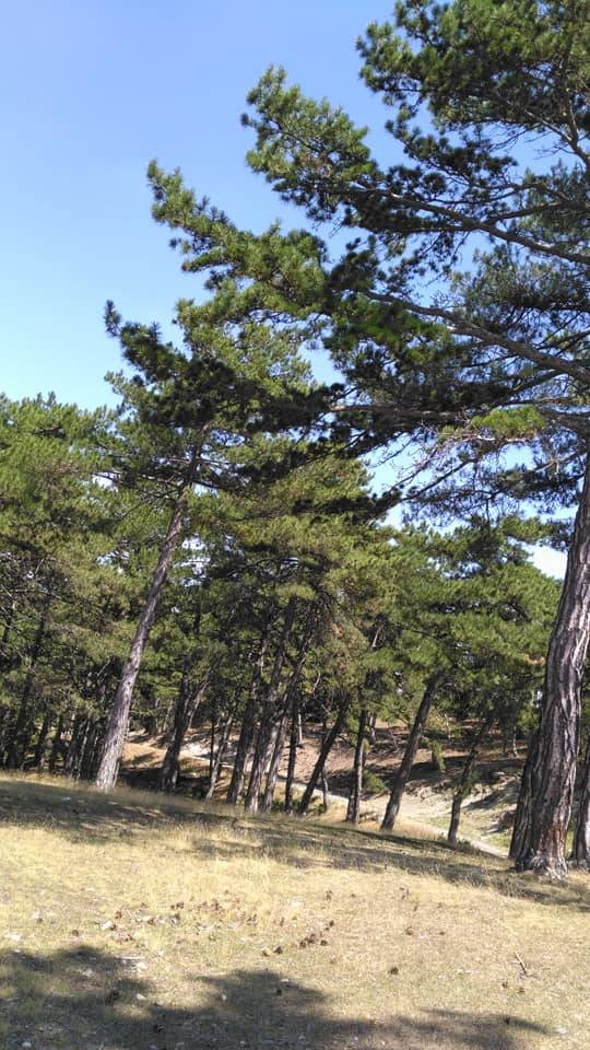 Bozüyük Gökçeli Köyü Resimleri 5