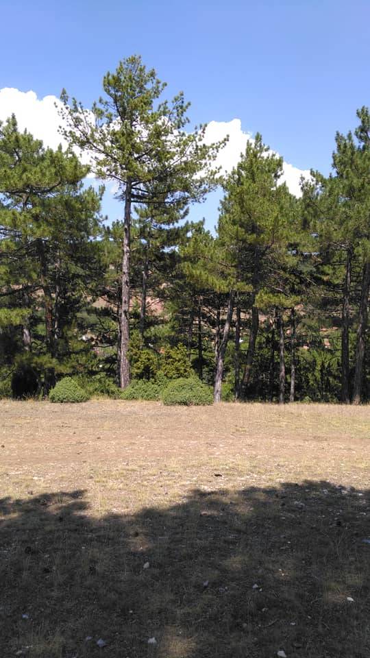 Bozüyük Gökçeli Köyü Resimleri 6