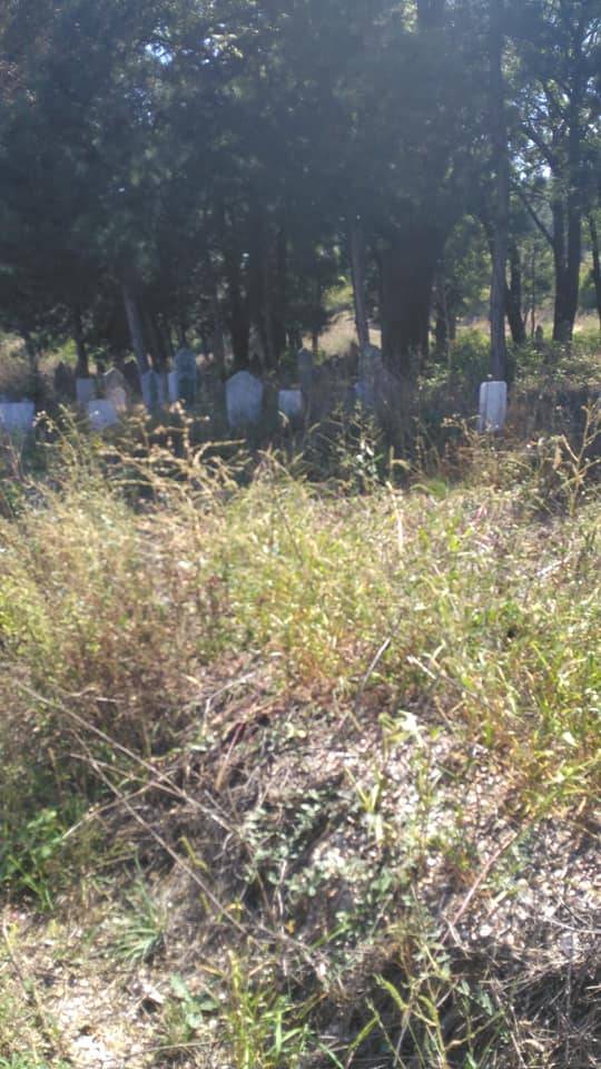 Bozüyük Gökçeli Köyü Resimleri 8