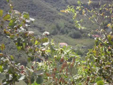 Kocaali Koğukpelit Köyü  Resimleri 2