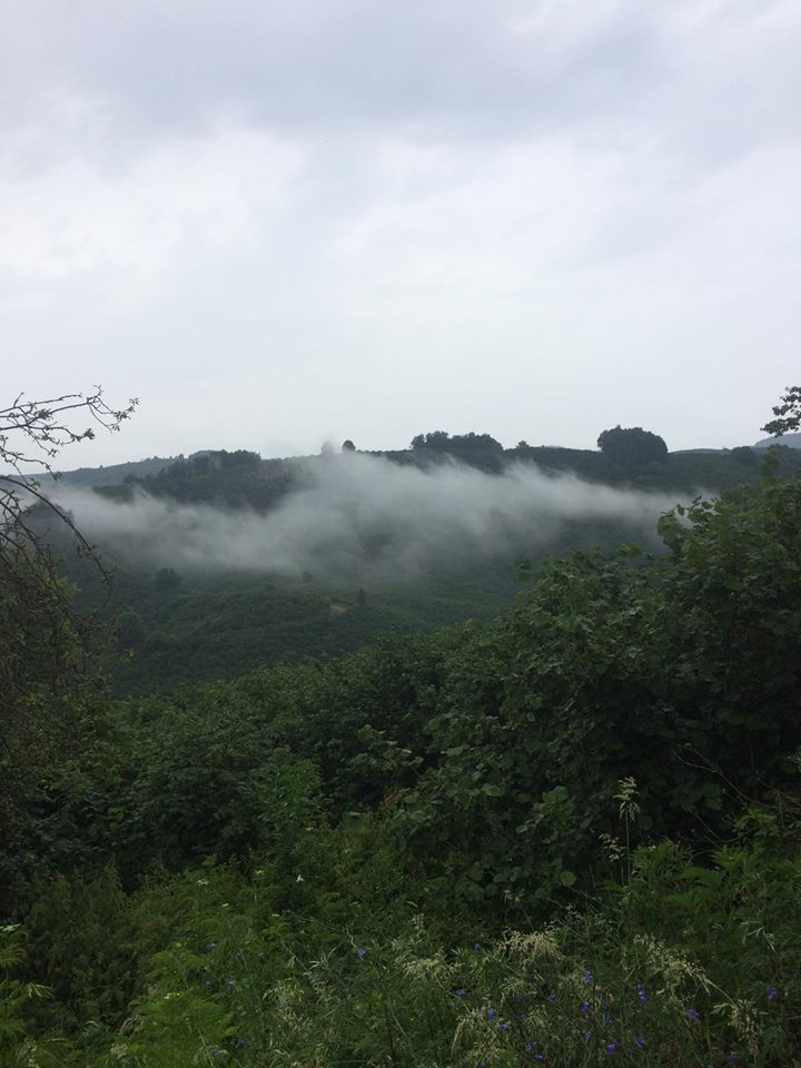 Kocaali Koğukpelit Köyü  Resimleri 3