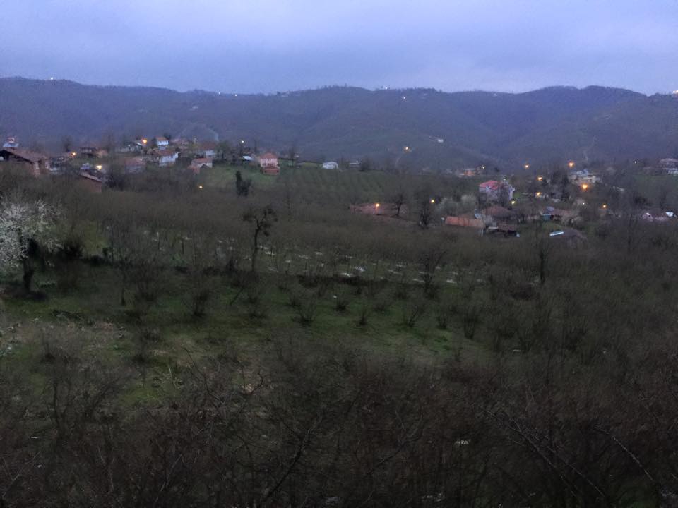 Kocaali Koğukpelit Köyü  Resimleri 4